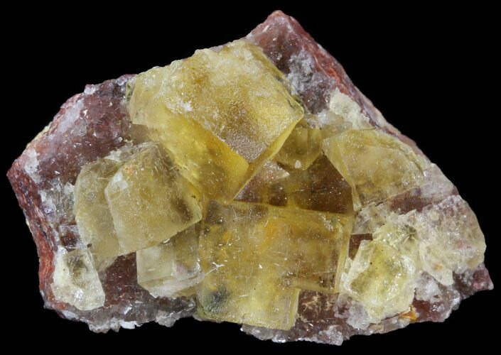 Lustrous, Yellow Cubic Fluorite Crystals - Morocco #44887